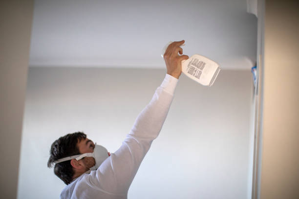 Best Mold Removal and Inspection  in Fate, TX