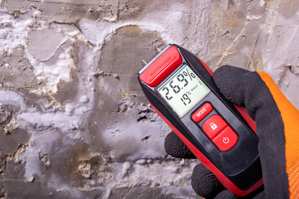 Best Emergency Mold Removal  in Fate, TX