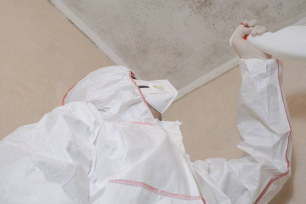 Best Residential Mold Removal  in Fate, TX
