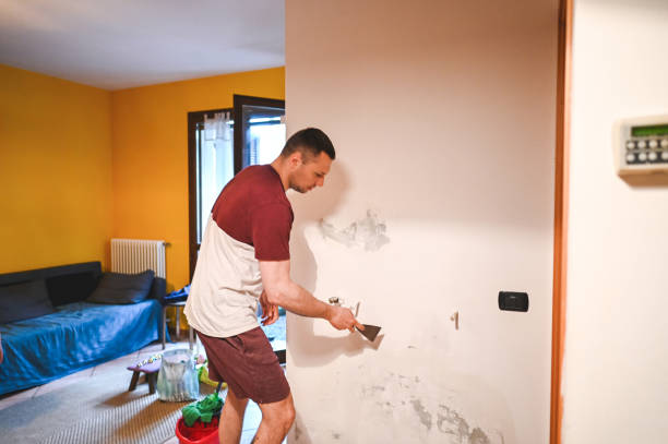 Best Mold Removal Near Me  in Fate, TX